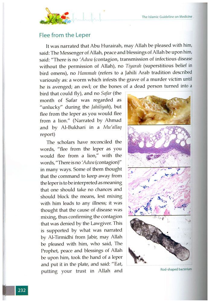 The Islamic Guideline on Medicine-4